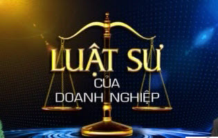Luật sư Doanh nghiệp - Luật Tâm Đức | luật sư bình dương