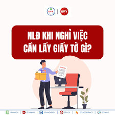 🧾 Tranh chấp về bảo hiểm xã hội (BHXH), bảo hiểm y tế (BHYT), bảo hiểm thất nghiệp (BHTN) theo Luật Lao động 2019