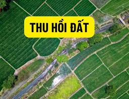 Thu hồi đất do vi phạm pháp luật đất đai: Luật sư Luật Tâm Đức 