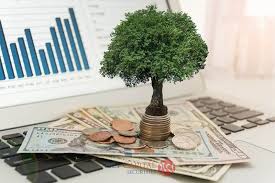 TĂNG VỐN, GIẢM VỐN ĐIỀU LỆ: ĐIỀU KIỆN, HỒ SƠ VÀ RỦI RO PHÁP LÝ 