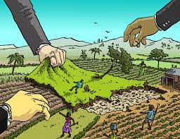 Mua bán nhà đất bằng giấy tay có được công nhận không? Quy định theo Luật Đất đai 2024