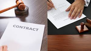Luật Tâm Đức - Những tranh chấp hợp đồng bảo hiểm phổ biến và cách xử lý theo quy định pháp luật 2026